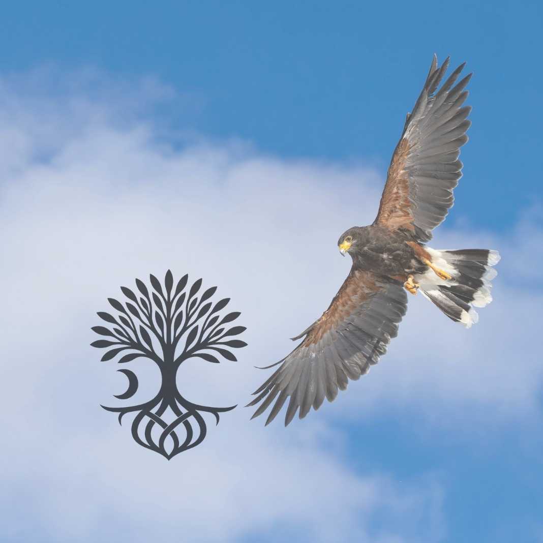 The Andronika Journal